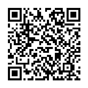 只要是能在络上或者黄页上能查到的公开电话全部占线二维码生成