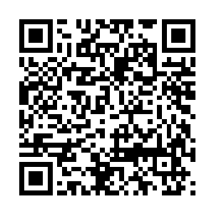 只要是高级宝器以下级别的武器都会被我直接斩断二维码生成