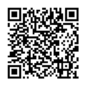 只要晶体感受到猿人脑波动就会链接到翅膀上面二维码生成