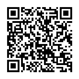 只要最后一跳不出现重大失误金牌就是中国跳水梦之队的首金了二维码生成