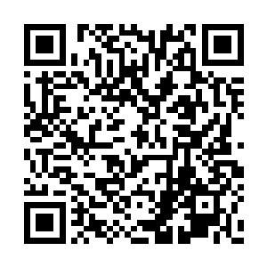 只要有些脑子的人在见识到我们团队的实力之后二维码生成