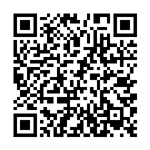 只要有希尔顿饭店的地方你们就可以享受最高的礼遇二维码生成
