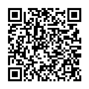 只要有时间都能轻松的到达六转大地圣师的境界二维码生成