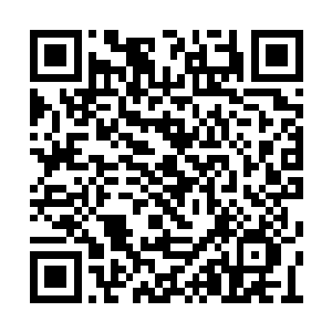 只要有足够的精神力就可以驱使里面的任何东西二维码生成