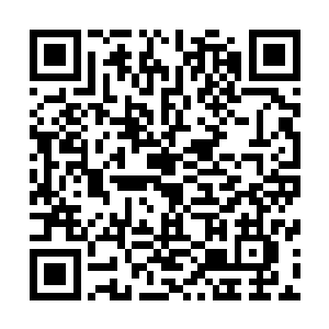只要来到距离弟弟十米的距离就能将其直接收进紫华洞府了二维码生成