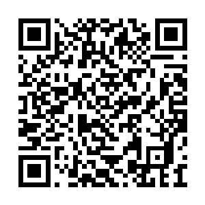 只要比赛的偶然因素可以给弱者提供适当的机会二维码生成