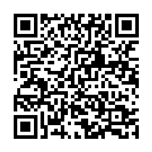 只要没有把它们的身体直接斩断或重创它们的弱点二维码生成