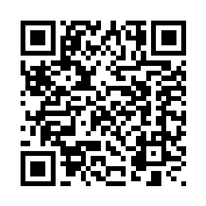 只要洪出尘和龚明表现出一丝不对二维码生成