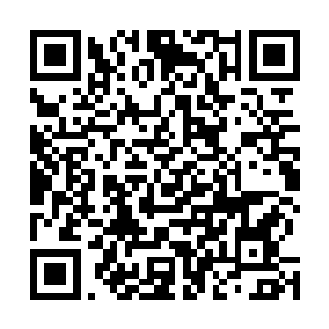 只要独步有机会就一定会毫不犹疑地给她许紫烟致命一击二维码生成
