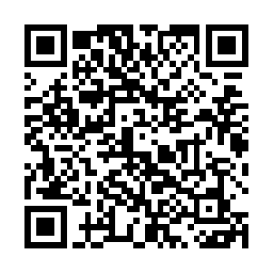 只要王爷同意…以后临安绝对不会干扰到王爷任何事情二维码生成