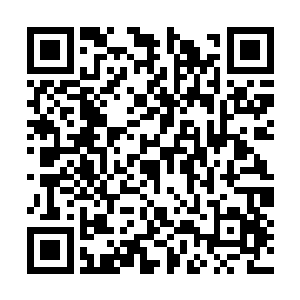 只要白逸才他自己的善魂吞噬了他自己的恶魂的话二维码生成