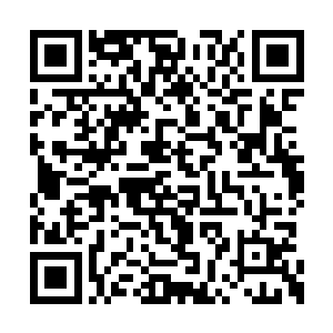 只要看到御兆锡或者听到他的声音就能安静下来二维码生成