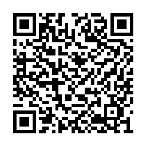 只要看过一眼就能确认这些虎绝不是普通的老虎二维码生成