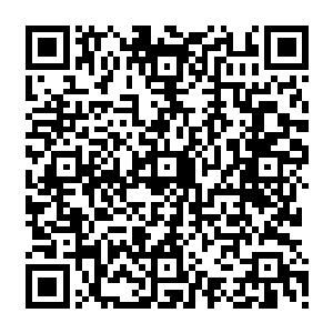 只要看透了她们是尸体这一点一切都正常了手臂之所以肿胀是因为尸体失去了水分二维码生成