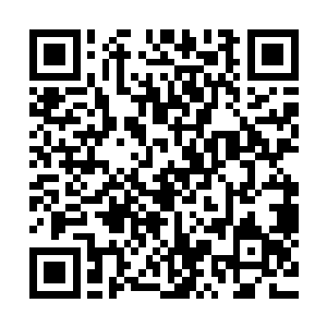 只要眼睛看得到与拿得起来的周围一切能砸的东西都使劲砸出二维码生成