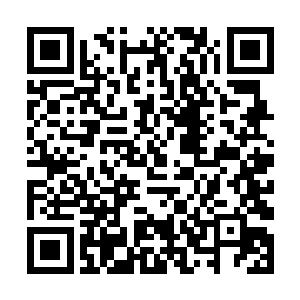 只要稍微布置一个聚灵阵就可以供给整个门派使用了二维码生成