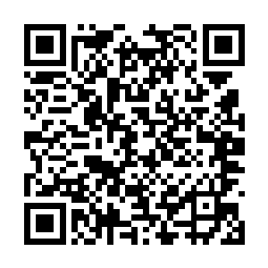 只要稍微遴选一下就能凑出一支由悍卒组成的军队二维码生成