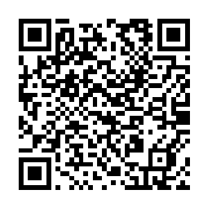 只要稍有眼光的地方官员或者是各个豪门的家主长老们二维码生成