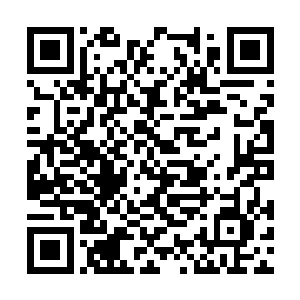 只要能再拖一会儿粉黛就可以把那个孩子给杀死了二维码生成