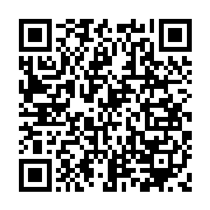 只要能够再次进入世界杯决赛圈就已经很不错了二维码生成