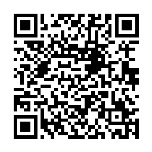 只要能够把一条墨蝰藤茎之上的精华汁液吞噬干净二维码生成