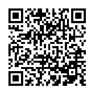 只要能够拿回当初自己和父母住过的那个屋子和院落就行二维码生成