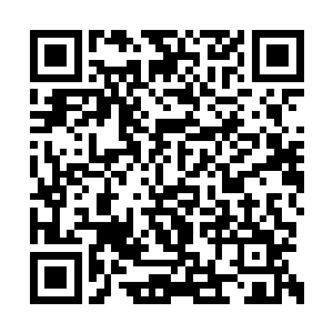 只要能够让张安放心地将拍戏场所放在临海大学二维码生成