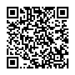 只要能够让我们这些村里人得到真正的实惠我们就服二维码生成
