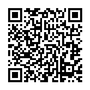 只要能把东大陆那些神血战士或者具有魔力的智慧生物带给我二维码生成