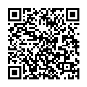 只要自己不是真做出某些出格的事情让吞党抓到把柄二维码生成