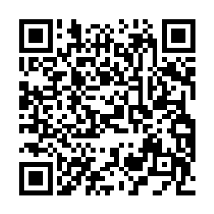 只要自己两家的孩子拥有更高的本族天赋什么都不重要二维码生成