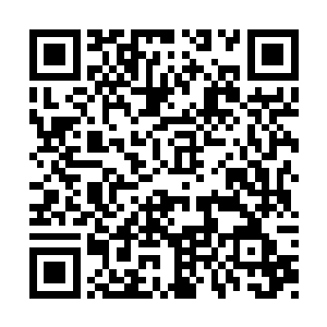 只要自己正面使用境界的强大力量直接攻击夏天二维码生成