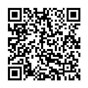 只要被追击者进入到追击者的最大攻击半径之内二维码生成