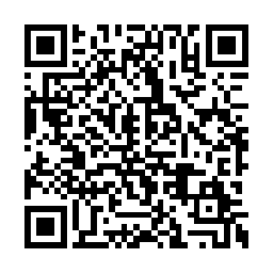 只要被释放出來就会对周围生物进行无差别攻击二维码生成