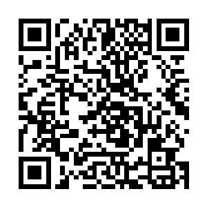 只要谢先生愿意帮我们找到入侵我们银行防御系统的黑客二维码生成