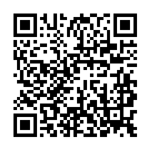 只要赵局长告诉我们到底是什么人在背后蓄谋这件事情二维码生成