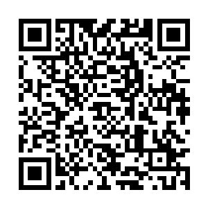 只要足够小心不去触碰到这些萦绕着灰雾和银光的二维码生成