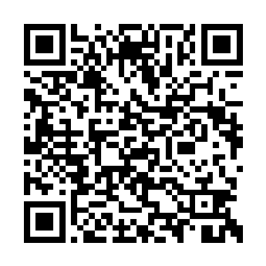只要足够让我能把你们这家赌场给赢过来就好了二维码生成