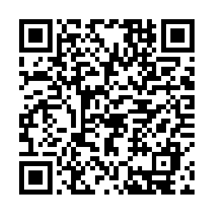 只要跟胡尔大师曾经炼制过的一套治疗骨器差不多就行二维码生成
