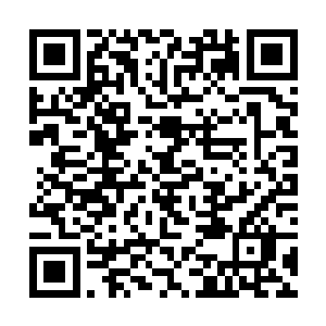 只要路上遇到的散发出敌意的妖兽直接上去就是一击二维码生成