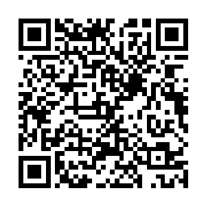 只要这世间万物的能量层次比不上四变神王的世界之力二维码生成