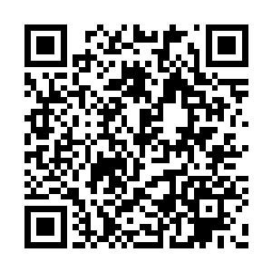 只要这些村民全部将查克拉的凝聚到精纯的地步二维码生成