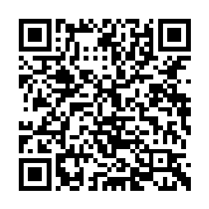 只要这边将一切罪名责任都推在了林胜利的身上二维码生成