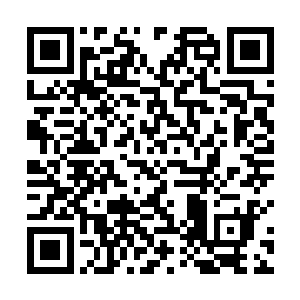 只要进入了空灵之境对于他们来说就不会是自己的对手二维码生成