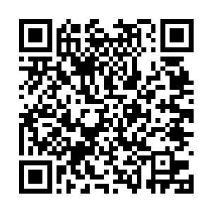 只要那些愚蠢的大块头们又开始打他们所谓的圣战二维码生成