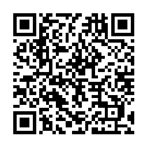 只要那位巫师将当初那种透明仆从赐给法雷尔家族几头二维码生成