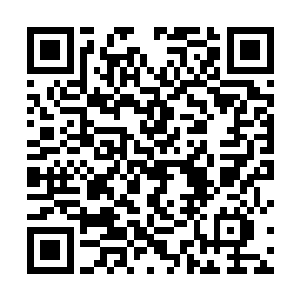 只要释放几百个离火就可以把这里所有的罂粟烧得精光二维码生成