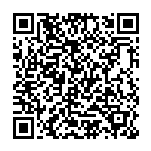 只要除掉了大小姐想来对付夫人对于二姨娘来说也是一件简单的事情二维码生成