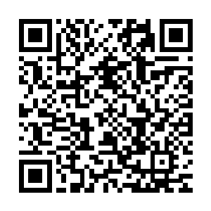只见……海量的黑色液体正从哈珀先生身体上的针孔中喷薄而出二维码生成