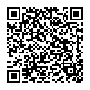 只见一个一身火红色长袍的老者有些不爽的望着刚才开口说话的老者二维码生成